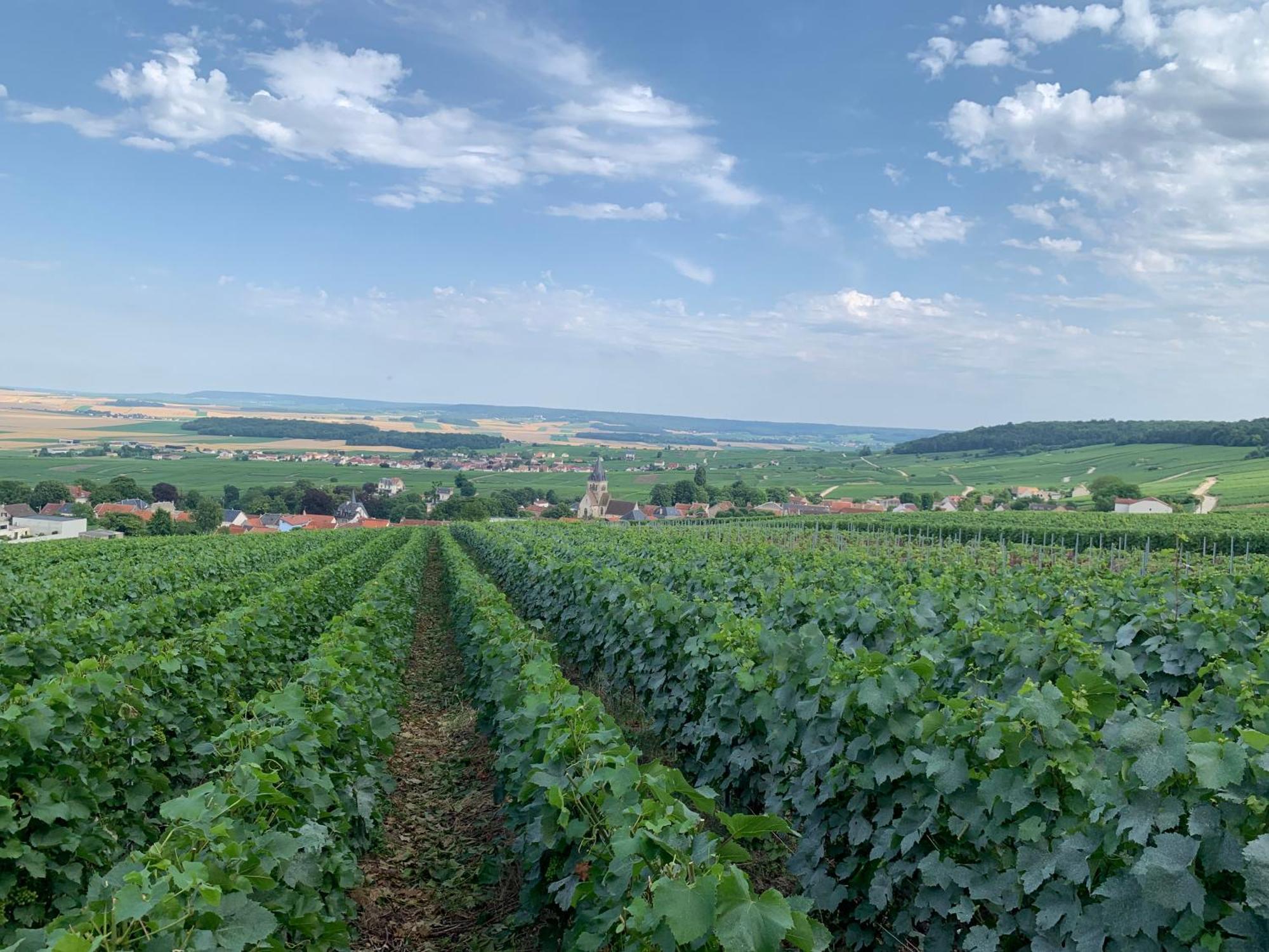 Les Suites Champenoises Tinqueux Exteriör bild