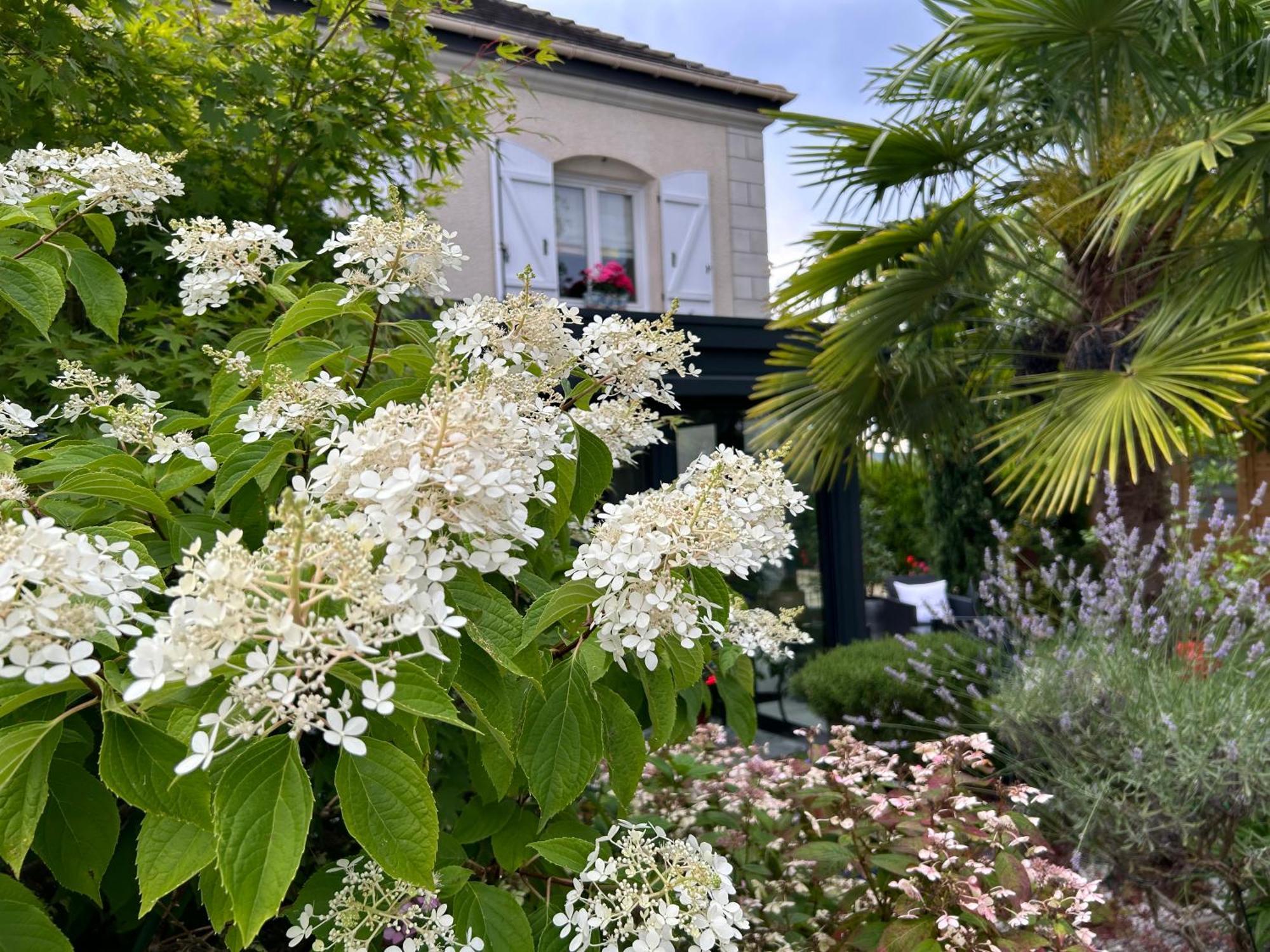 Les Suites Champenoises Tinqueux Exteriör bild